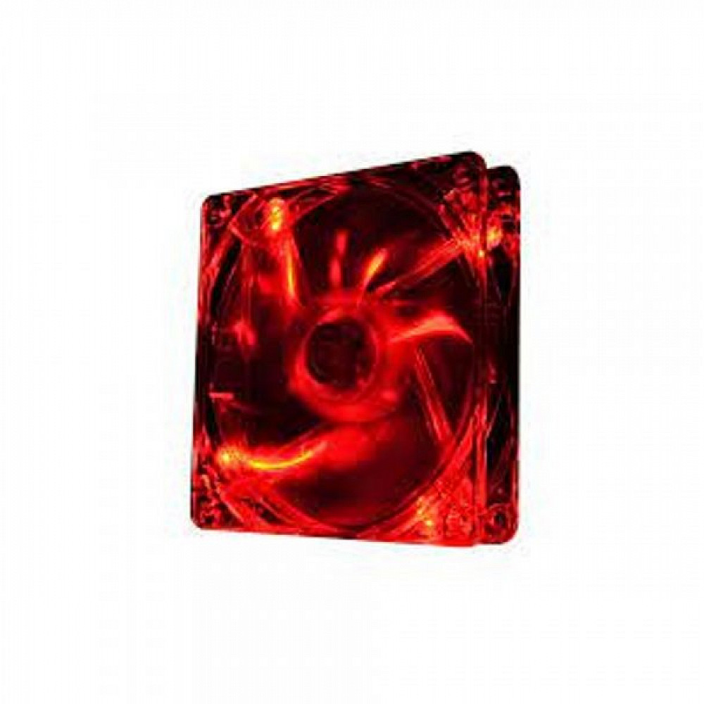 CX Performance Thermo 12 pack Red/Black main image 0