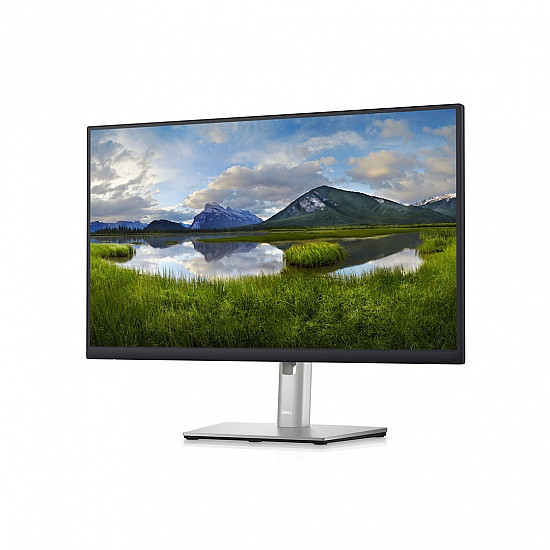 Dell 23.8" P2423DE QHD USB-C Professional IPS monitor