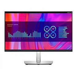 Dell 23.8" P2423DE QHD USB-C Professional IPS monitor