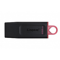 Kingston MEM UFD 256GB DTX KIN