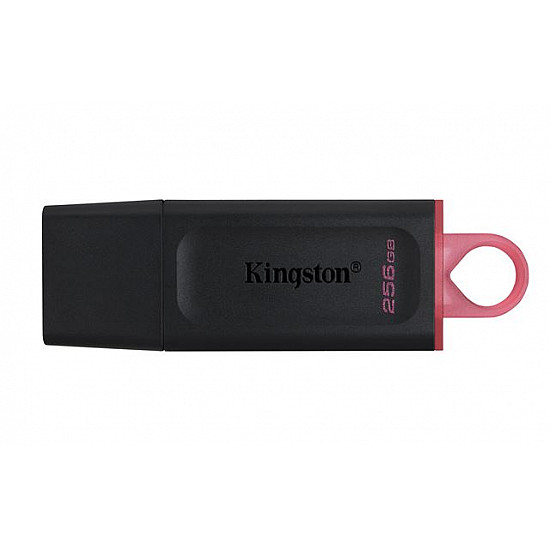 Kingston MEM UFD 256GB DTX KIN