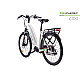 MS ENERGY eBike c100 MS ENERGY eBike c100