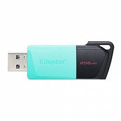 KINGSTON DTXM, 256GB USB FD.256GB