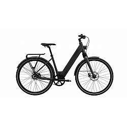 MS ENERGY eBike c300 MS ENERGY eBike c300
