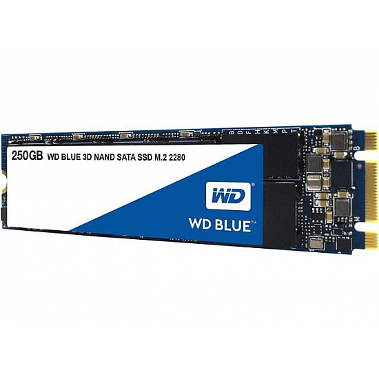 WESTERN DIGITAL 250GB M.2 SATA III WDS250G2B0B Blue