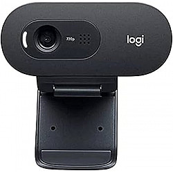 LOGITECH C505E Long Range HD web kamera