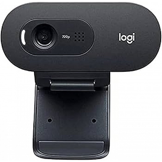 LOGITECH C505E Long Range HD web kamera