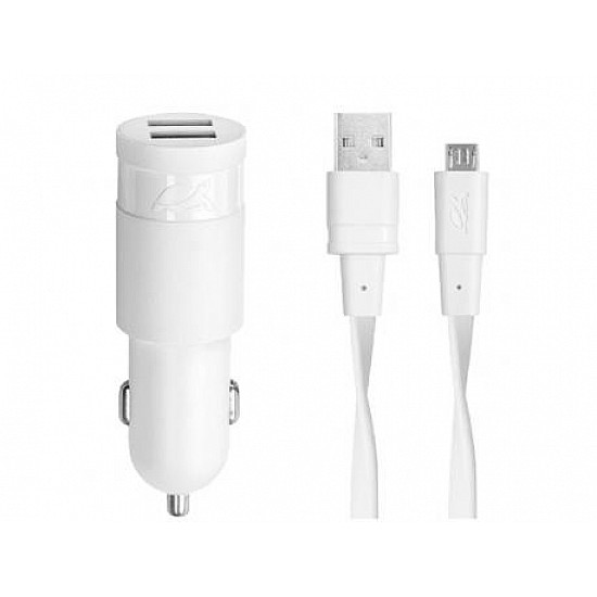 RIVAPOWER auto punjač VA4211 W00