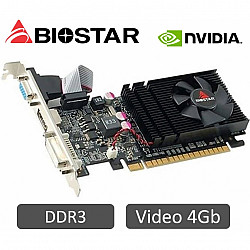 Biostar GT730 4GB GDDR3 128 bit DVI, VGA, HDMI